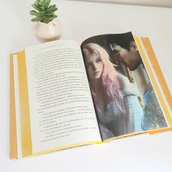 Pack La Maldición del Amor Verdadero